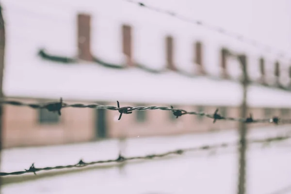 Närbild Taggtrådsstängsel Nära Den Berömda Bågen Till Koncentrationslägret Auschwitz — Stockfoto
