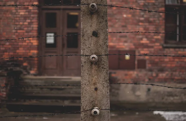 Närbild Taggtrådsstängsel Nära Berömda Bågen Koncentrationslägret Auschwitz — Stockfoto