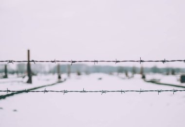 Auschwitz toplama kampında elektrikli dikenli tel çit Close-up. Kampın arka planda kalır
