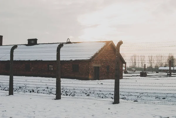 Oświęcim Polen Februari 2018 Igenmurat Kojan Koncentrationslägret Auschwitz Taggtrådsstängsel — Stockfoto