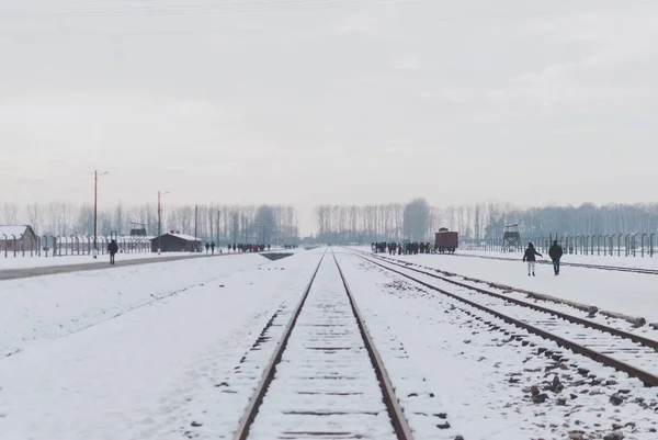 Oswiecim Polônia Fevereiro 2018 Trilhas Ferroviárias Campo Concentração Auschwitz Torres — Fotografia de Stock