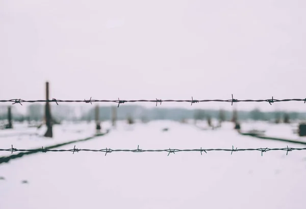 Close Electrified Barbed Wire Fence Auschwitz Concentration Camp Remains Camp — Stock Photo, Image