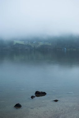 Gizemli dağ göl erken bahar sabahı. Ürkütücü yoğun sis, yeşil tepelerin ve parlak sabah ışık suya yansıyan. Kum alt kayalar ile kaplı