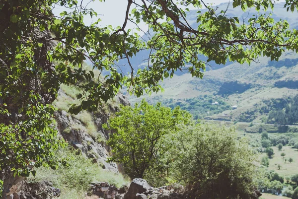 Esplêndida Paisagem Ensolarada Geórgia Montanhas Verdes Rochosas Céu Azul Profundo — Fotografia de Stock