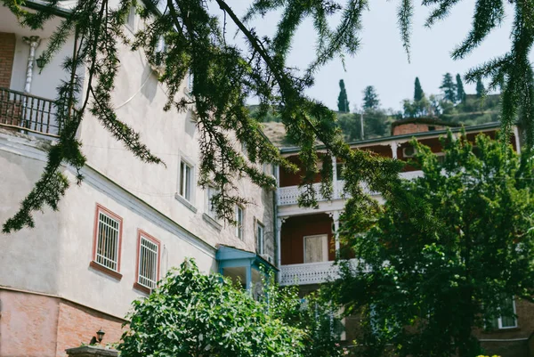 Stare Domy Tbilisi Postrzegane Przez Gałęzie Jodły — Zdjęcie stockowe