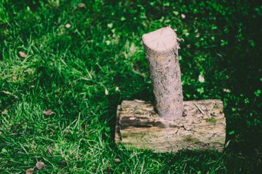 Yakacak odun günlük yeşil çim arka plan