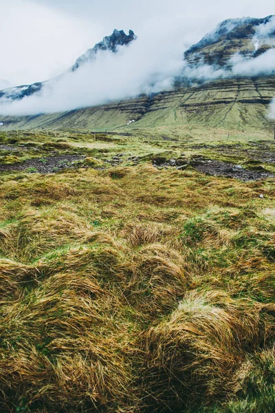 Yellow-green grass in the field beneath the mountains in Iceland. Bold green hills and gray-blue clouds.