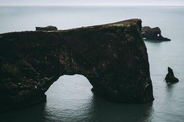 Dyrholaey. Okyanustaki siyah kayalar. İzlanda.