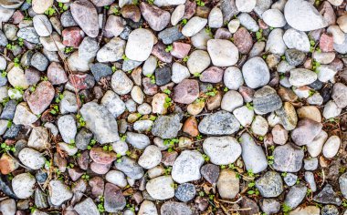 Sahilde Çakıl Taşı, Küçük Kayalar