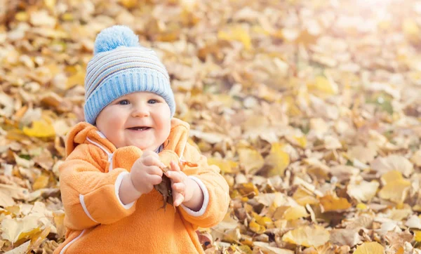 Šťastný Chlapec Dítě Hraje Listí Podzimním Parku Podzimní Koncept — Stock fotografie