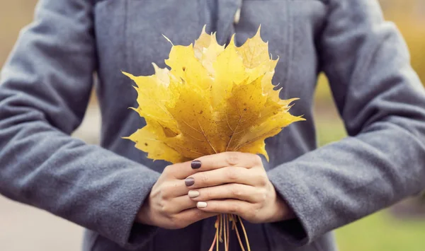 Bella Donna Che Cammina Nel Parco Attraente Ragazza Sfondo Autunno — Foto Stock