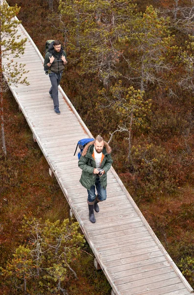 Homme Avec Sac Dos Barbe Randonnée Forêt Camp Aventure Concept — Photo