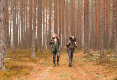 Bir sırt çantası ve arkadaşı ormanda hiking sakallı olan adam. Kamp, macera, kavram seyahat.