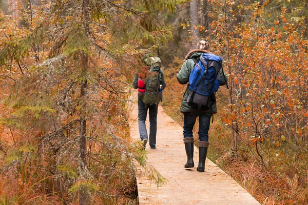 Dos Tipos Barbudos Con Mochilas Caminando Bosque Campamento Aventura Viajes — Foto de Stock