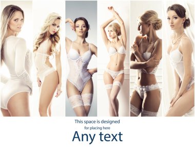Gelin iç çamaşırı koleksiyonu. Genç ve seksi iç çamaşırı baştan çıkarıcı kadın.