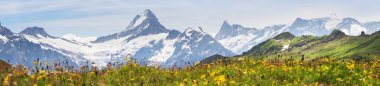 Alpine peaks of Grindelwald and Jungfrau. Landscape background of Bernese highland. Alps, tourism, journey, traveling and hiking concept. clipart