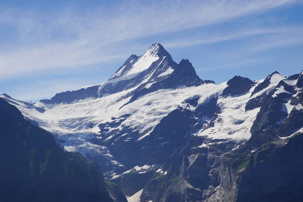 Alpina Toppar Grindelwald Och Jungfrau Landskap Bakgrund Bernese Highland Alperna — Stockfoto
