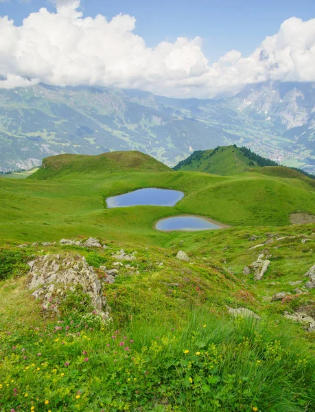 Alpské Vrcholy Nadmořské Výšce Pozadí Jungfrau Bernese Highland Alpy Turistika — Stock fotografie