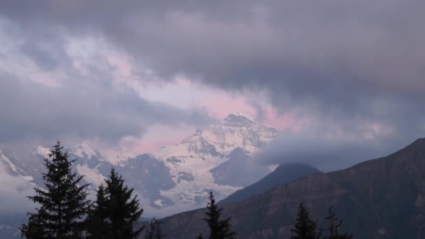 Picos Alpinos Paisaje Fondo Jungfrau Altiplano Bernés Alpes Turismo Viajes — Vídeo de stock