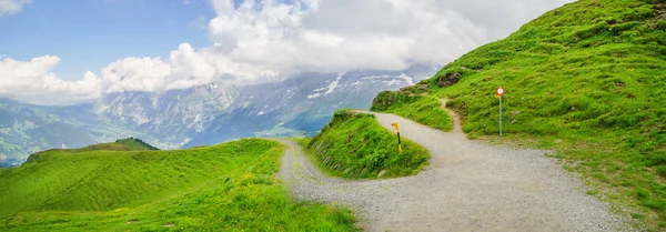 Alpine Picos Paisagem Fundo Jungfrau Planalto Bernês Alpes Turismo Viagem — Fotografia de Stock