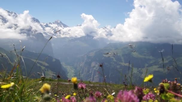 Alpine Pieken Landschap Achtergrond Lauterbrunnen Jungfrau Berner Highland Alpen Toerisme — Stockvideo