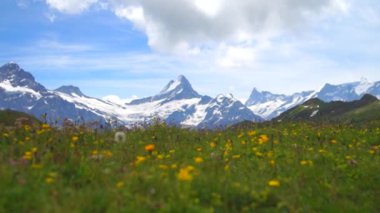 Dağ doruklarına arka plan manzara. Jungfrau, Bernese highland. Alpler, turizm, seyahat ve macera kavramı hiking