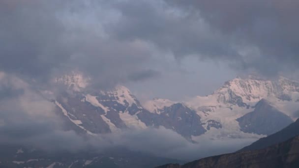 알파인 봉우리 배경을 풍경입니다 융프라우 하이랜드 알프스 하이킹 — 비디오