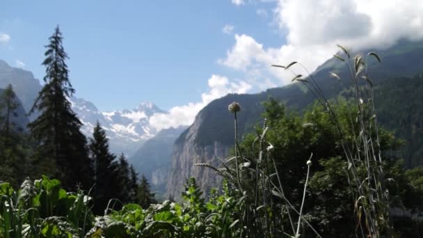 Picos Alpinos Paisaje Fondo Jungfrau Altiplano Bernés Alpes Turismo Viajes — Vídeo de stock