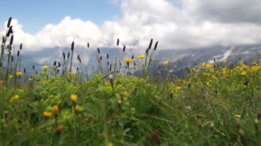 Dağ doruklarına landskape arka plan. Jungfrau, Bernese highland. Alpler, turizm, seyahat ve macera kavramı hiking