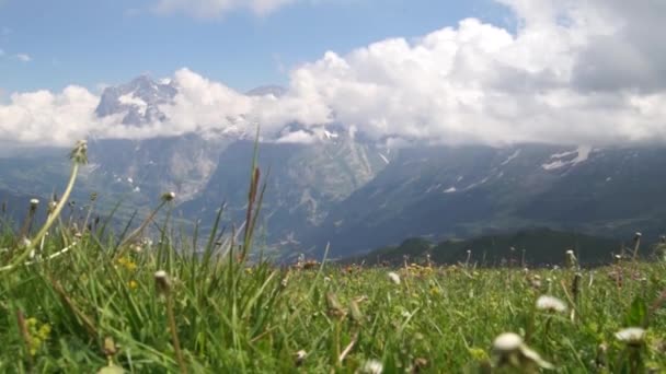 Picchi Alpini Paesaggio Sfondo Lauterbrunnen Jungfrau Altopiano Bernese Alpi Turismo — Video Stock