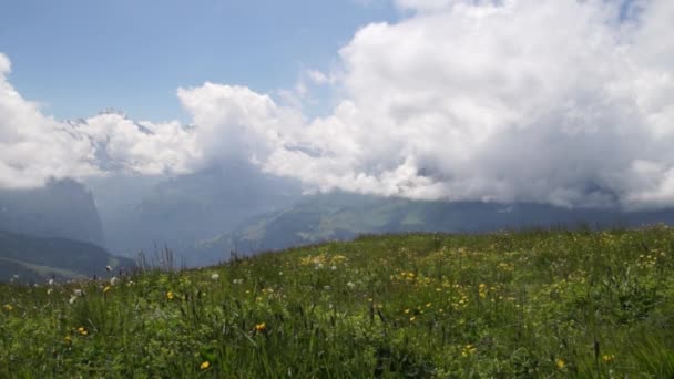 Alpine Peaks Landscape Background Lauterbrunnen Jungfrau Bernese Highland Alps Tourism — Stock Video