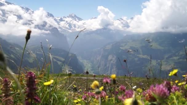 Alpské Vrcholy Krajinné Pozadí Lauterbrunnen Jungfrau Bernese Highland Alpy Turistika — Stock video