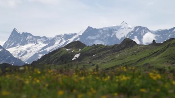 Alpine Pieken Landschap Achtergrond Jungfrau Berner Highland Alpen Toerisme Reis — Stockvideo