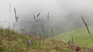 Dağ doruklarına landskape arka plan. Jungfrau, Bernese highland. Alpler, turizm, seyahat ve macera kavramı hiking