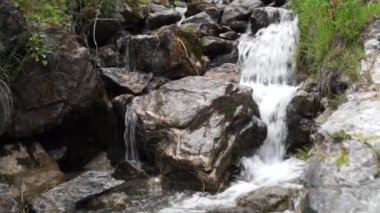 Dağ doruklarına landskape arka plan. Jungfrau, Bernese highland. Alpler, turizm, seyahat ve macera kavramı hiking