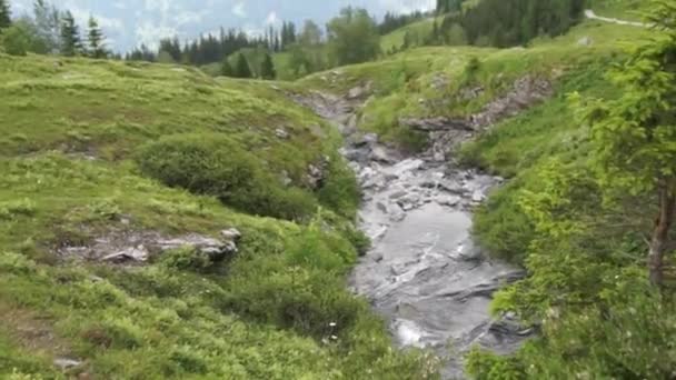 アルプス山脈の風景の背景 ユングフラウ ベルナー ハイランド アルプス ハイキング概念冒険 — ストック動画