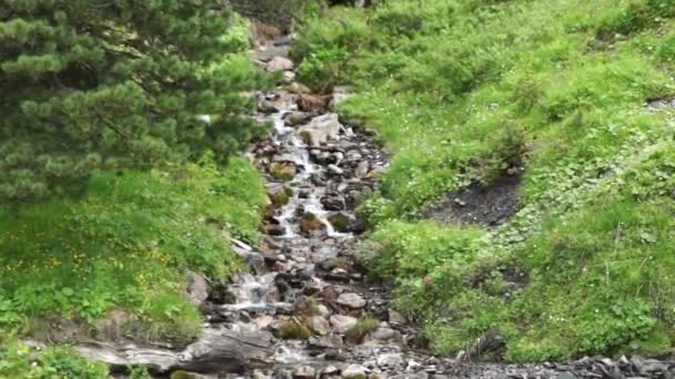 Alpina Toppar Landskap Bakgrund Jungfrau Bernese Highland Alperna Turism Resa — Stockvideo