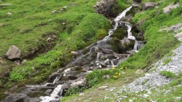 Alpina Toppar Landskap Bakgrund Jungfrau Bernese Highland Alperna Turism Resa — Stockvideo