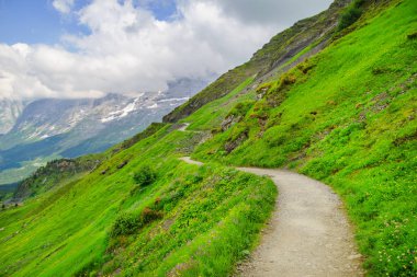 Dağ doruklarına arka plan manzara. Jungfrau, Bernese highland. Alpler, turizm, dağlar kavram hiking yolculuk