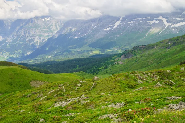 Alpské Vrcholy Krajinné Pozadí Jungfrau Bernese Highland Alpy Turistika Cesty — Stock fotografie