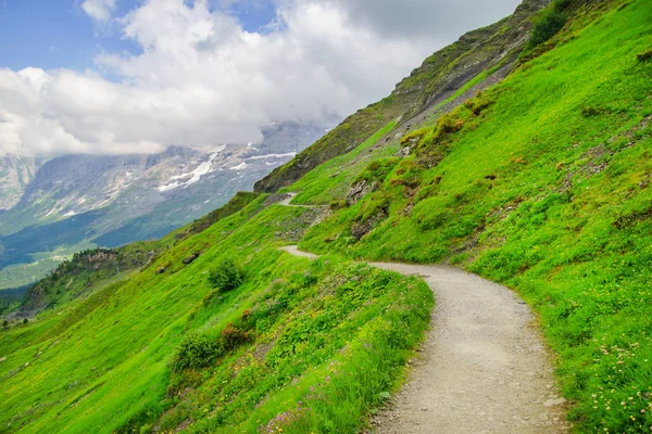 Picos Alpinos Paisaje Fondo Jungfrau Altiplano Bernés Alpes Turismo Viajes — Foto de Stock