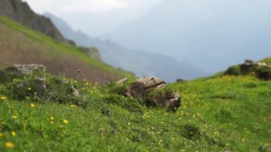 Dağ doruklarına arka plan manzara. Jungfrau, Bernese highland. Alpler, turizm, seyahat ve macera kavramı hiking
