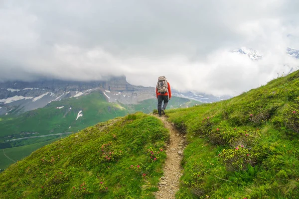 Turista Cestuje Alpách Alpské Vrcholy Krajinné Pozadí Jungfrau Bernese Highland — Stock fotografie