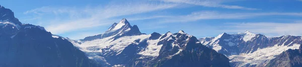 Picchi Alpini Grindelwald Jungfrau Sfondo Paesaggistico Dell Altopiano Bernese Alpi — Foto Stock