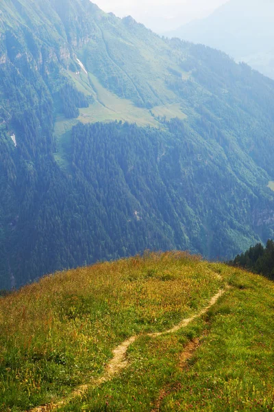 Alpine Picos Paisagem Fundo Jungfrau Planalto Bernês Alpes Turismo Caminhada — Fotografia de Stock
