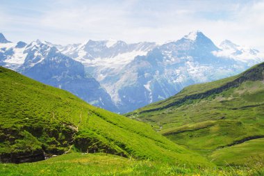 Grindelwald ve Jungfrau dağ doruklarına. Bernese highland manzara arka plan. Alpler, turizm, seyahat, seyahat ve hiking kavramı.