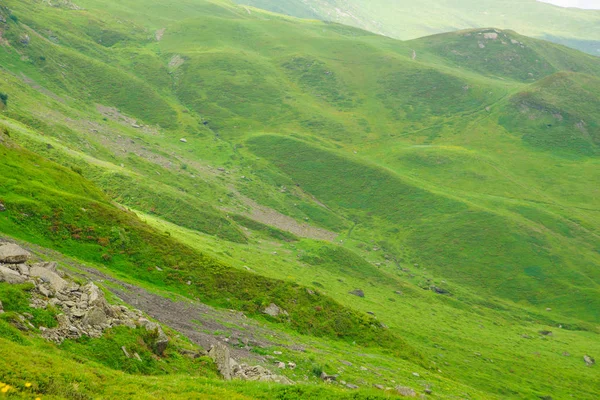 Alpine Picos Paisagem Fundo Jungfrau Planalto Bernês Alpes Conceito Caminhada — Fotografia de Stock