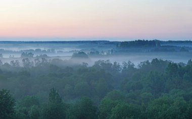 Gün batımında orman ve sis. Manzara manzarası