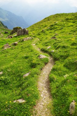 Dağ doruklarına arka plan manzara. Jungfrau, Bernese highland. Alpler, turizm, dağlar kavram hiking yolculuk