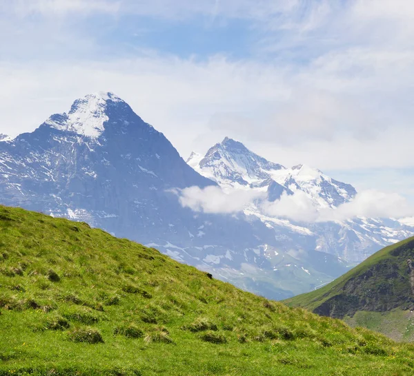Szczyty Alp Grindelwald Jungfrau Krajobraz Tle Highland Oberlandu Alpy Turystyka Zdjęcie Stockowe